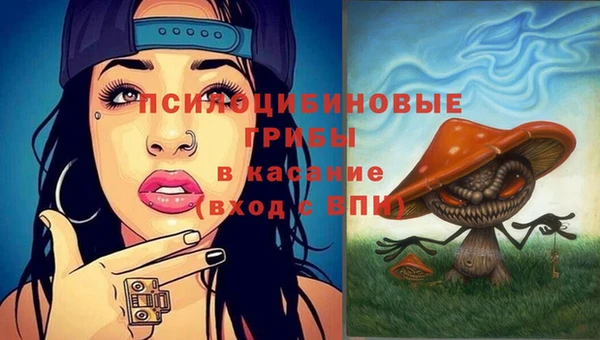 PSILOCYBIN Богородицк